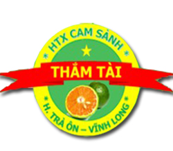 Hợp tác xã cam sành Thắm Tài