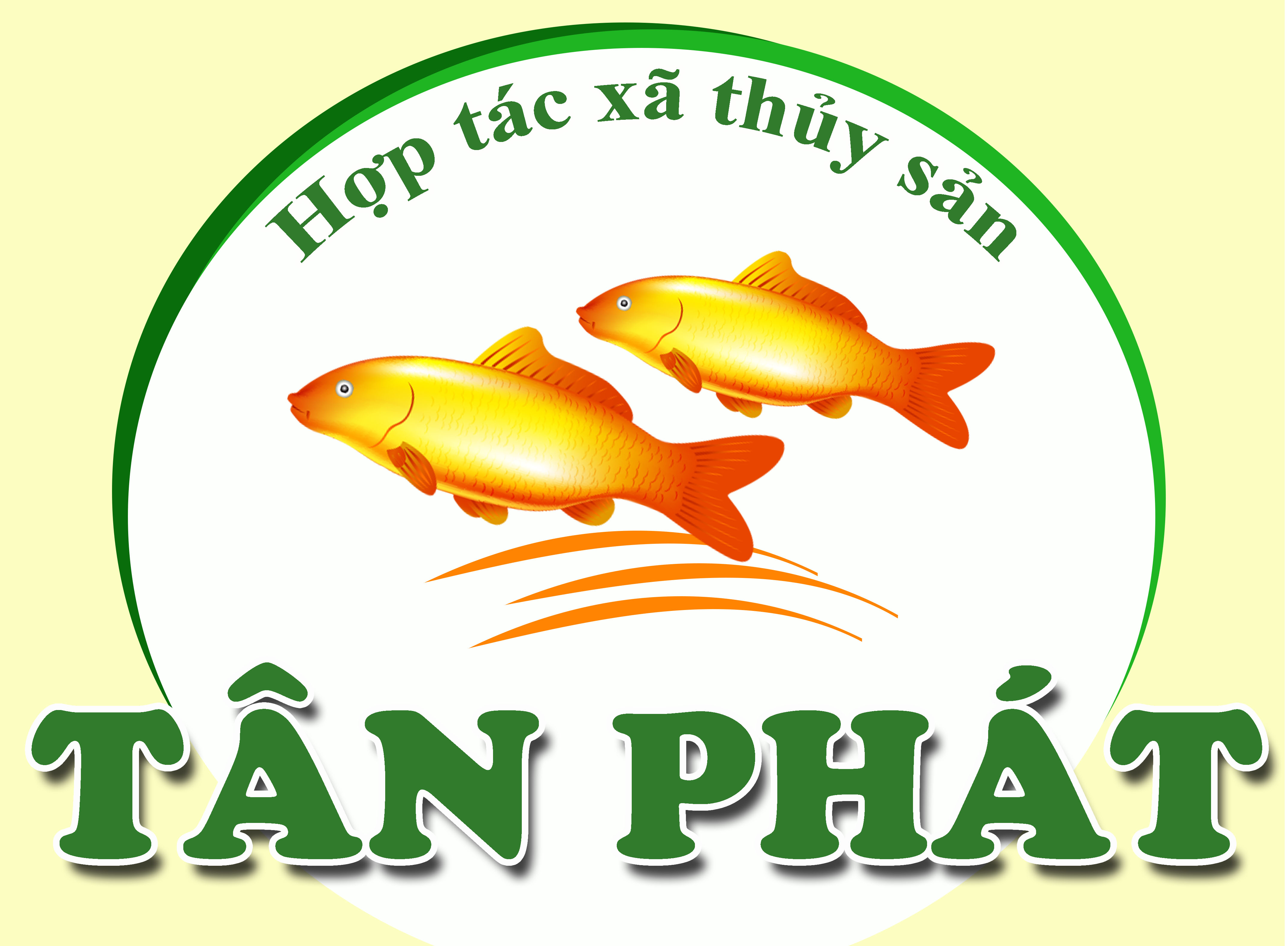 HTX Thủy Sản Tân Phát