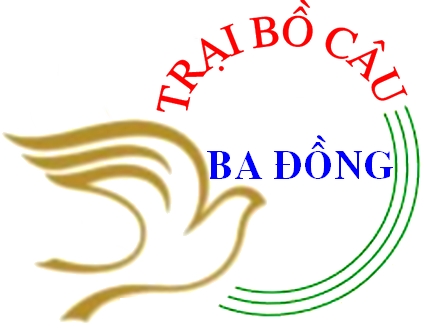 Trại bồ câu Ba Đồng ( Phước Dư)