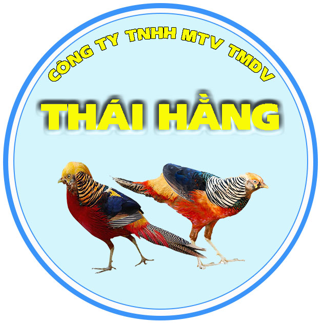 Cty TNHH MTV TMDV Thái Hằng