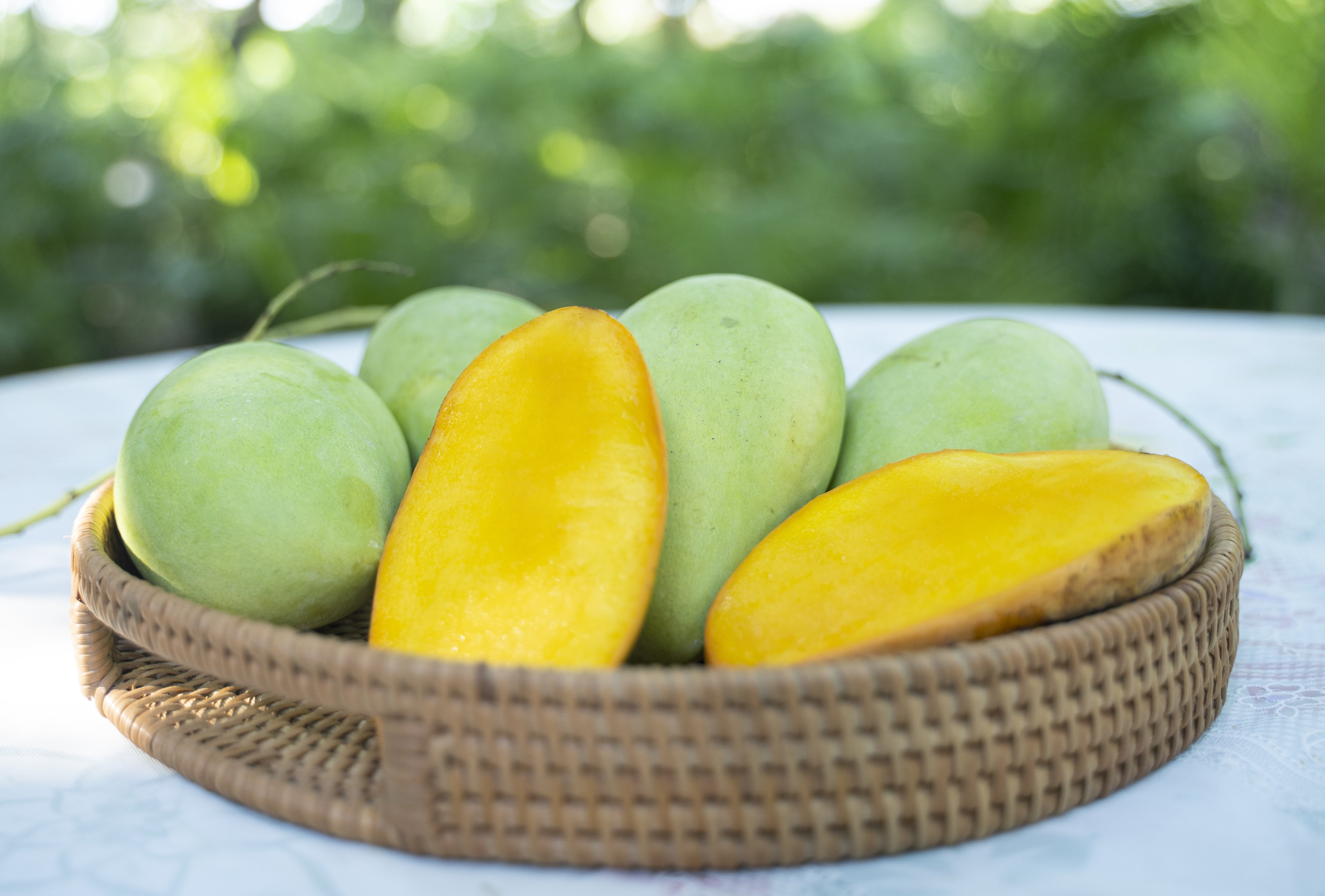 Xoài cát núm Quới An