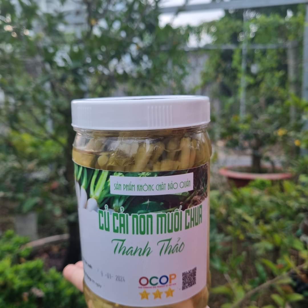 Củ cải non muối chua