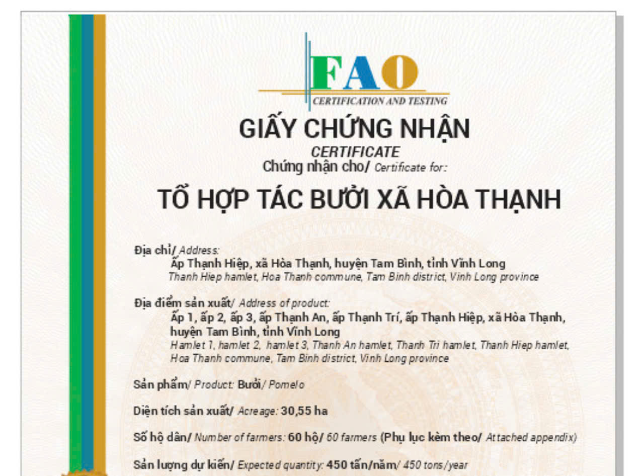 Tổ Hợp tác Bưởi Hòa Thạnh